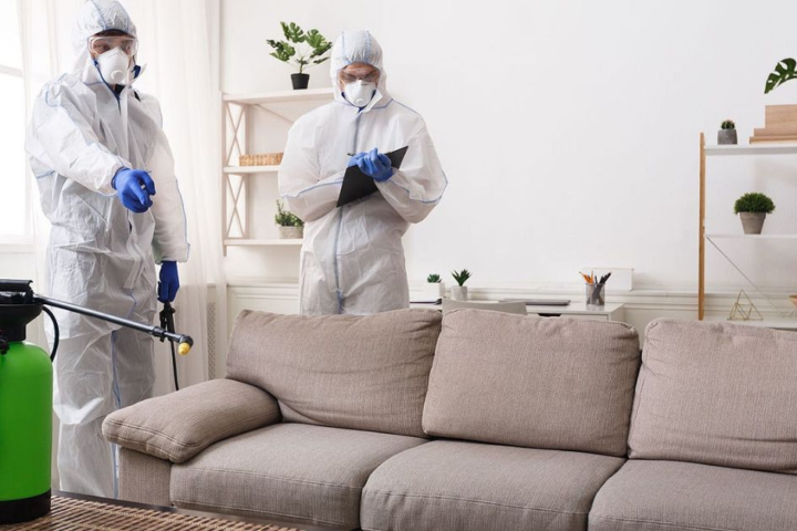 Birmingham Pest Control